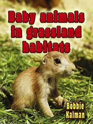 cover image of Baby Animals In Grassland Habitats